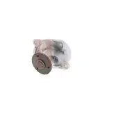 AKS DASIS 570460N Waterpomp