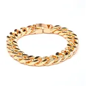 Luxenter Armband met 18-karaats geelgouden afwerking - Dainva