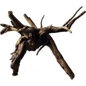 Superfish Aquarium Decoratie Spiderwood S 20-30 Cm