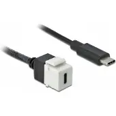 DeLOCK USB-C Keystone module - USB-C (m) | USB3.0 5 Gbps | wit | 0,25 meter