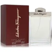 Salvatore Ferragamo eau de toilette spray 100 ml