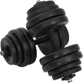 vidaXL Halve gewichtsschijven, 2x15 kg