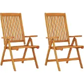 vidaXL Tuinstoelen 2 st inklapbaar massief eucalyptushout