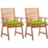 vidaXL Tuinstoelen, 2 stuks met kussens, massief acaciahout