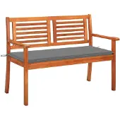 vidaXL Tuinbank voor 2 personen met kussen, 120 cm, massief eucalyptus hout