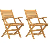 vidaXL Klapstoelen, 2 stuks, 55 x 62 x 90 cm, massief teakhout