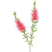 Viana Kunstbloemen Rood Karmijn Cilinderreinigers 70cm 3st