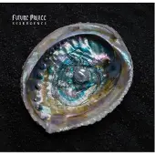 Sony music Future Palace - Resurgence (CD)