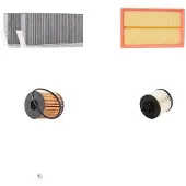 RIDEX 4055F31385 Filterset