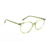 Ana Hickmann Optical Frame AH6617 T01 51
