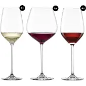 Schott zwiesel Fortissimo 12-delige wijnglazen set