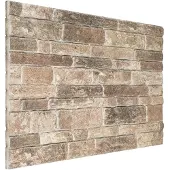 vidaXL Wandpanelen 10 st 100 x 50 cm Multikleur EPS-schuim