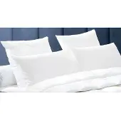 Vente-unique Set 2 Hoofdkussens DODO Natuurlijke dons BAFFIN - 65x65 cm