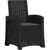 vidaXL Ligstoel Rieten Look Antracietkleurig PP