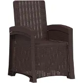 vidaXL Tuinstoel, fauteuil, bruin, rotanlook, PP