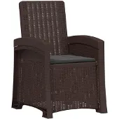 vidaXL Tuinstoel, fauteuil, rotanlook, bruin en antraciet, PP