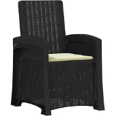 vidaXL Tuinstoel, fauteuil, rotanlook, antraciet en crème, PP