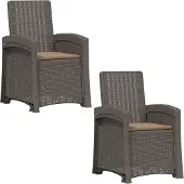 vidaXL Tuinstoel, 2 stuks, rotanlook, lichtgrijs en taupe, PP-materiaal