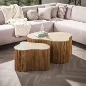 Hoyz Collection - Salontafel Nuovo Shamrock Set Van 2 - Massief Mango Zand