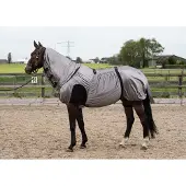 Harry's Horse Eczeem/vliegendeken UV 155 Grijs / Zilver