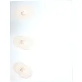 Globo Lighting Wandlamp Spiegellamp Lamp Lamp Licht