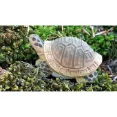 Wudimals Landschildpad 40704
