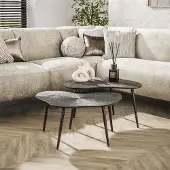 Hoyz Collection salontafel brown ray metal leaf brons donker set van