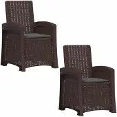 vidaXL Ligstoel Rieten Look 2 pcs Bruin en antracietkleurig PP