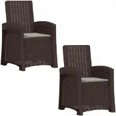 vidaXL Ligstoel Rieten Look 2 pcs Bruin en lichtgrijs PP