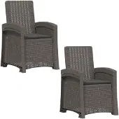 vidaXL Ligstoel Rieten Look 2 pcs Lichtgrijs en antracietkleurig PP