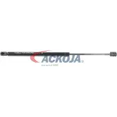 ACKOJA A37-0063 Gasveer achterklep