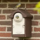 Cj Wildlife Nestkast Sevilla WoodStone 28 mm Bruin | Houtbetonnen vogelhuisje voor pimpelmees | Vivara | 10 jaar garantie | Aanbevolen door Vogelbescherming