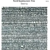 OUTHERE Tord Gustavsen Trio - Seeing (CD)