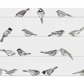 Ppd Cocktail servetten - Birds
