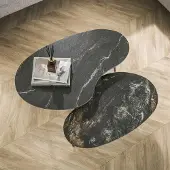Hoyz salontafel set-2 niervormig fossil keramiek