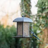 Cj Wildlife Zadensilo Salzburg vierkant dak | | | Partner van Vogelbescherming Nederland
