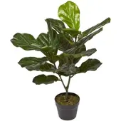 Homescapes Kunstplant Vioolbladplant (Ficus lyrata) in Pot – 75 cm – Groen – UV-bestendig