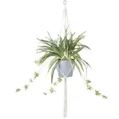 Homescapes Kunstspinplant met macramé hangmand, 95 cm hoog