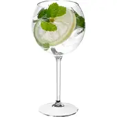 SANTEX 1x Rode wijn/gin tonic ballon glazen 650 ml van onbreekbaar transparant kunststof - Wijnglazen