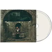 Universal Music Dermot Kennedy - The Weight Of The Woods (CD)