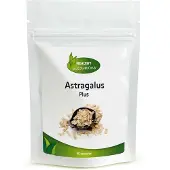 Healthy Vitamins Astragalus Plus