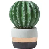 Homescapes Kunstbolcactus in een gestreepte cementpot, 19 cm hoog