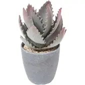 Homescapes Kleine Kunstmatige Echte Aloë Vera in Melamine Pot, 21 cm Hoog