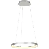 Steinhauer Ringlede LED Hanglamp | 40W 2700K 4000lm | Dimbaar | Staal