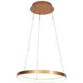 Steinhauer Hanglamp Ringlede goud