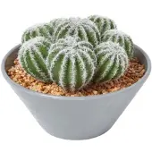 Homescapes Kunstcactus arrangement in grijze melamine pot, 17 cm hoog
