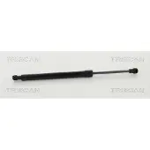 TRISCAN 8710 11240 Gasveer achterklep
