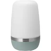 Blomus Buitenlamp Spirit Pine Gray XL