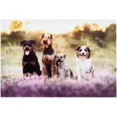 Tarres 68701 Dogs 60 X 40 Cm Deurmat