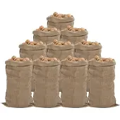 vidaXL Jutezakken 10 stuks 65x135 cm 100% jute 340 g/m²